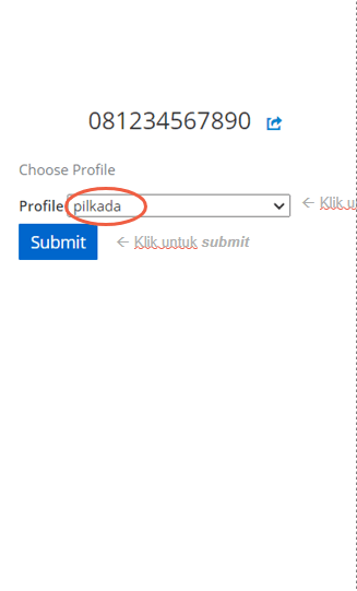II.3 Pilih profil.png